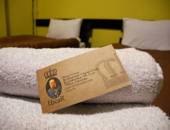 Hotel Cisar overview